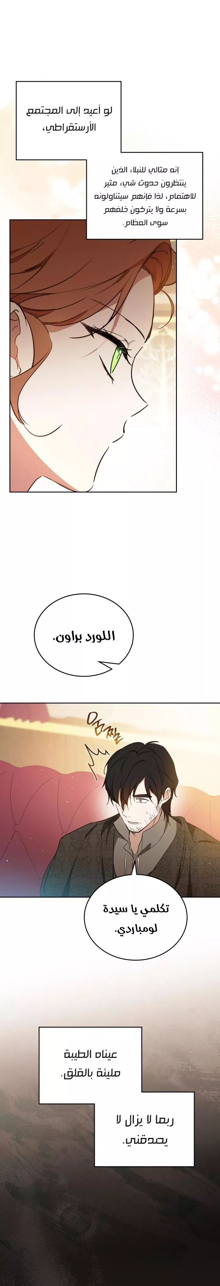 الصفحة 26