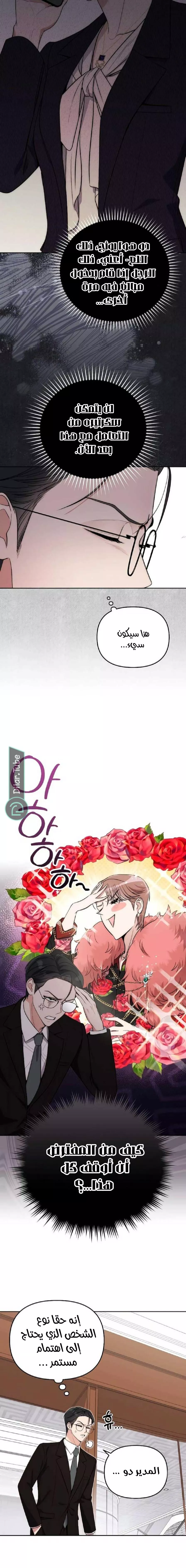 الصفحة 8
