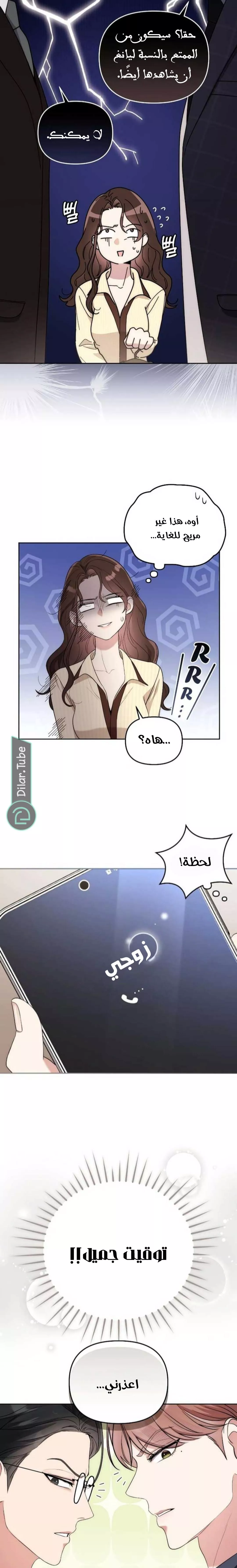 الصفحة 12