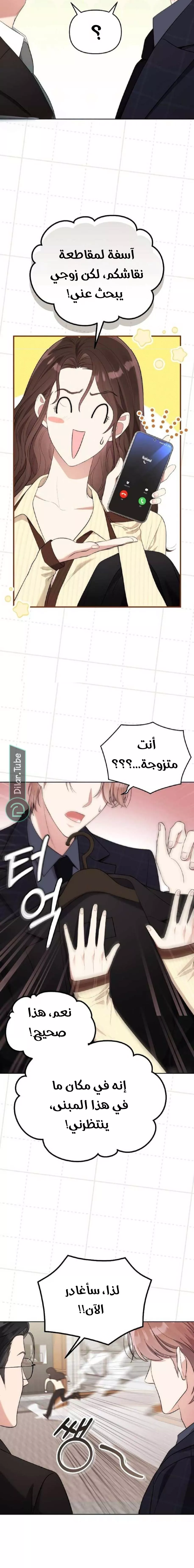الصفحة 13