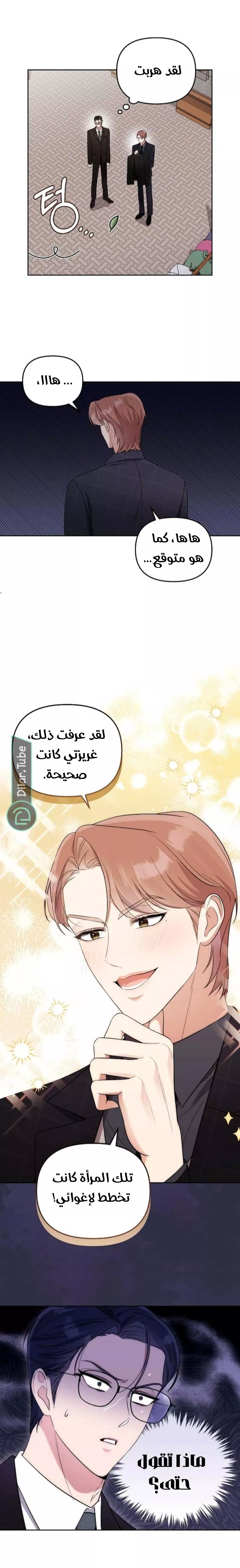 الصفحة 14