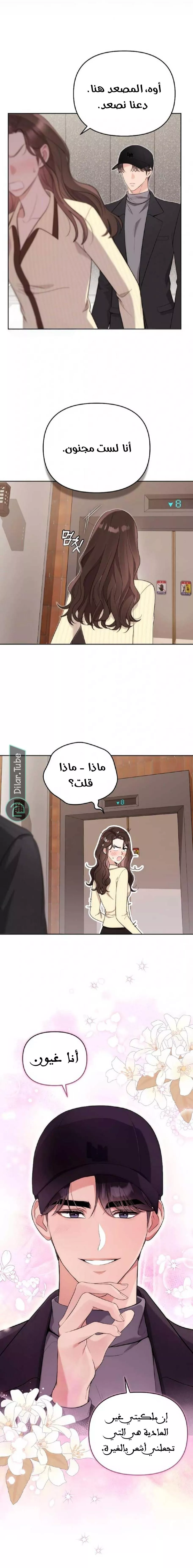 الصفحة 19