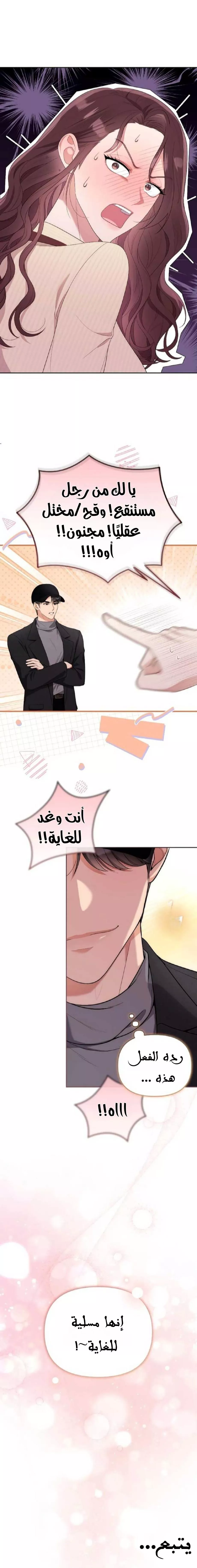 الصفحة 20