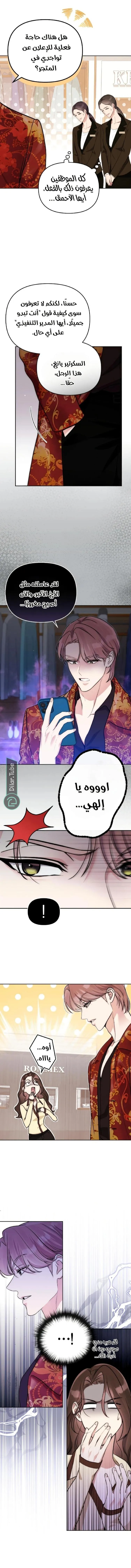 الصفحة 15