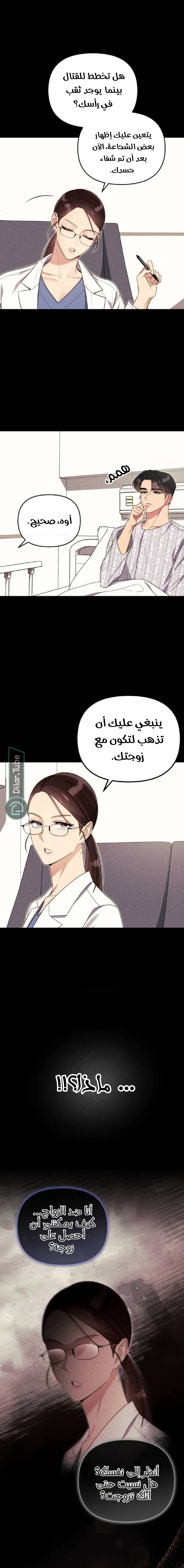 الصفحة 3