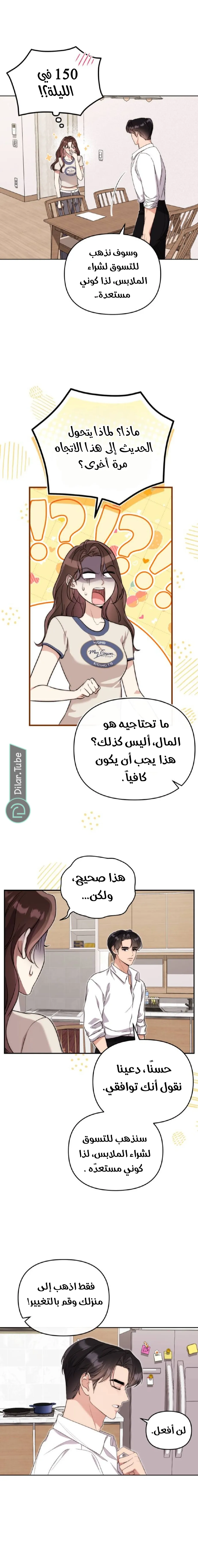 الصفحة 17