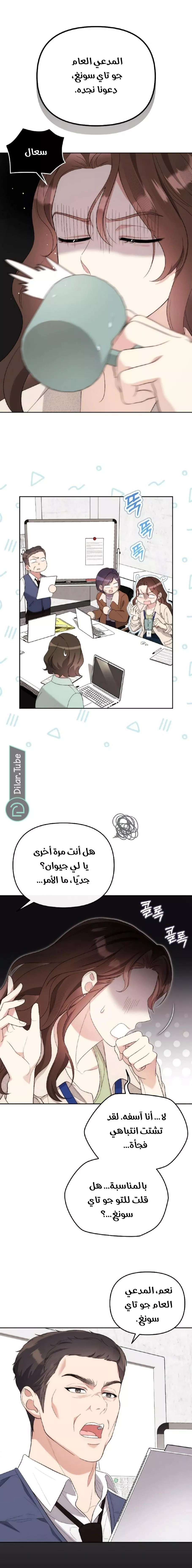 الصفحة 17