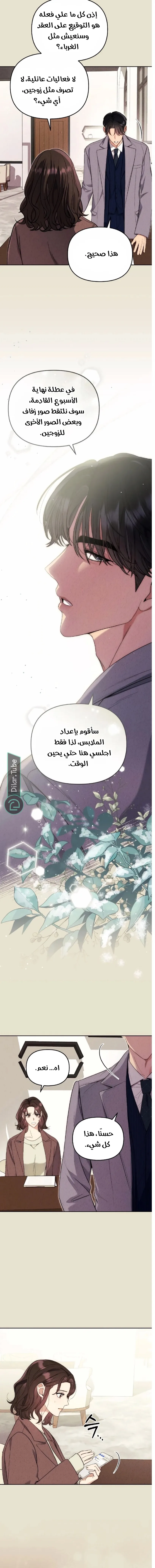 الصفحة 8