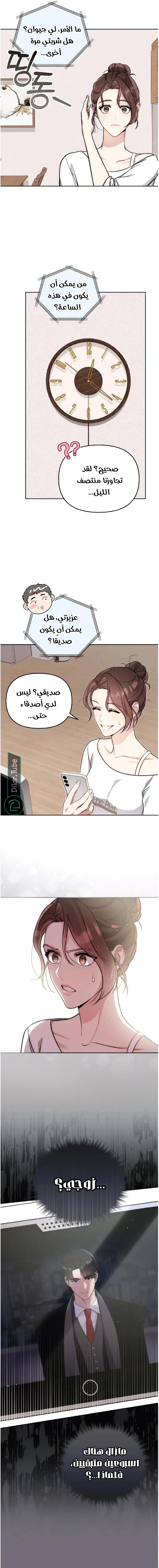 الصفحة 12