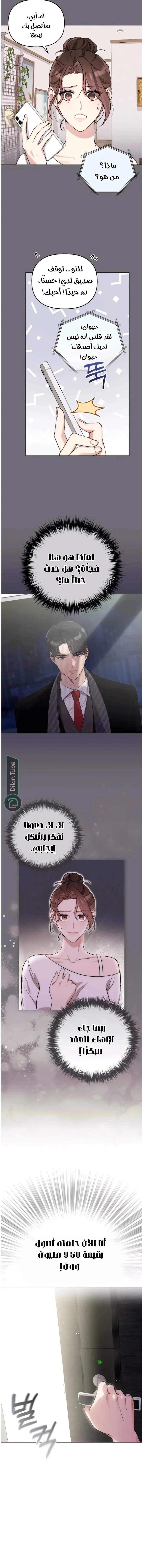 الصفحة 13