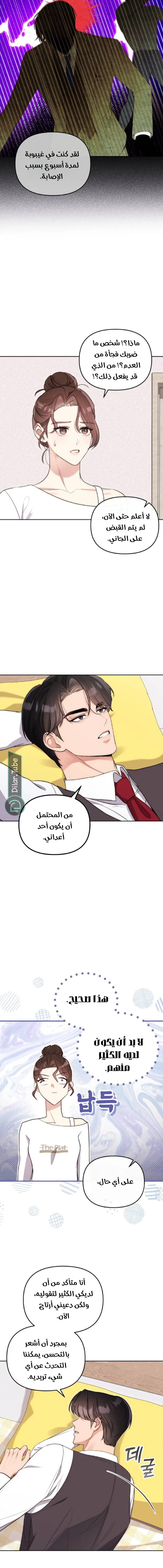 الصفحة 13