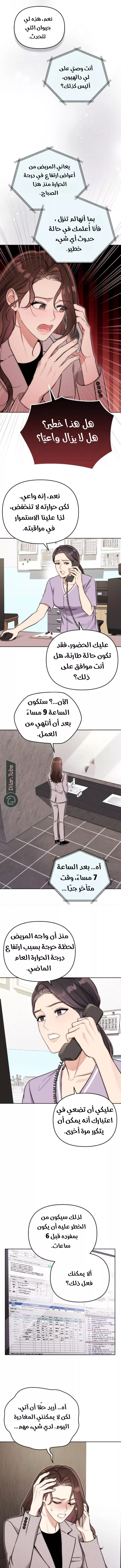 الصفحة 3