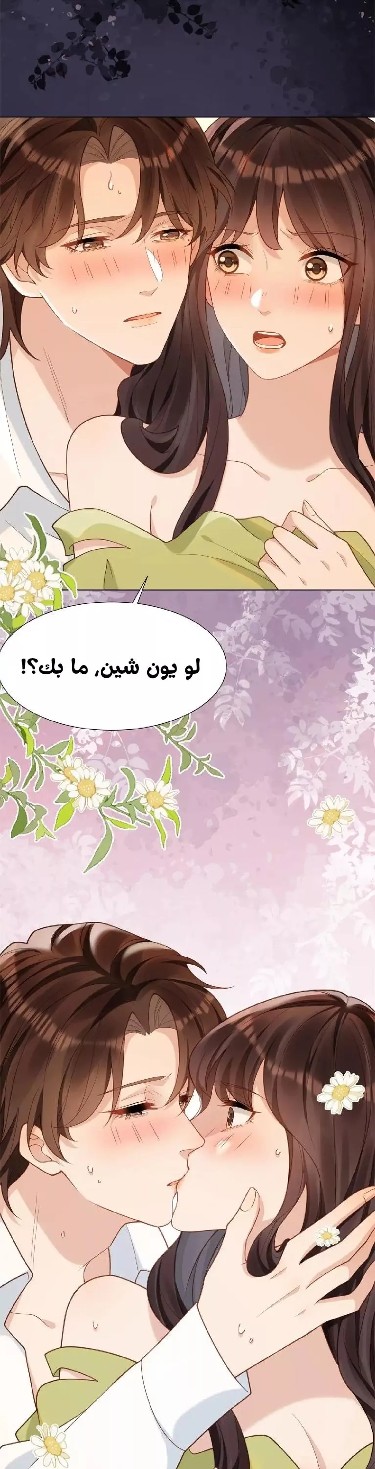 الصفحة 14