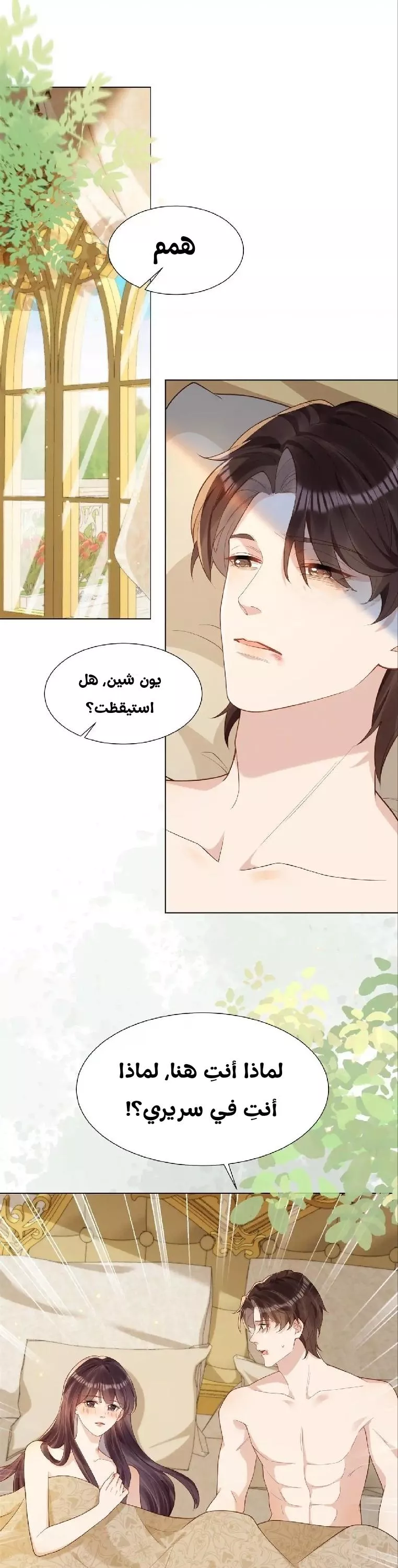 الصفحة 26