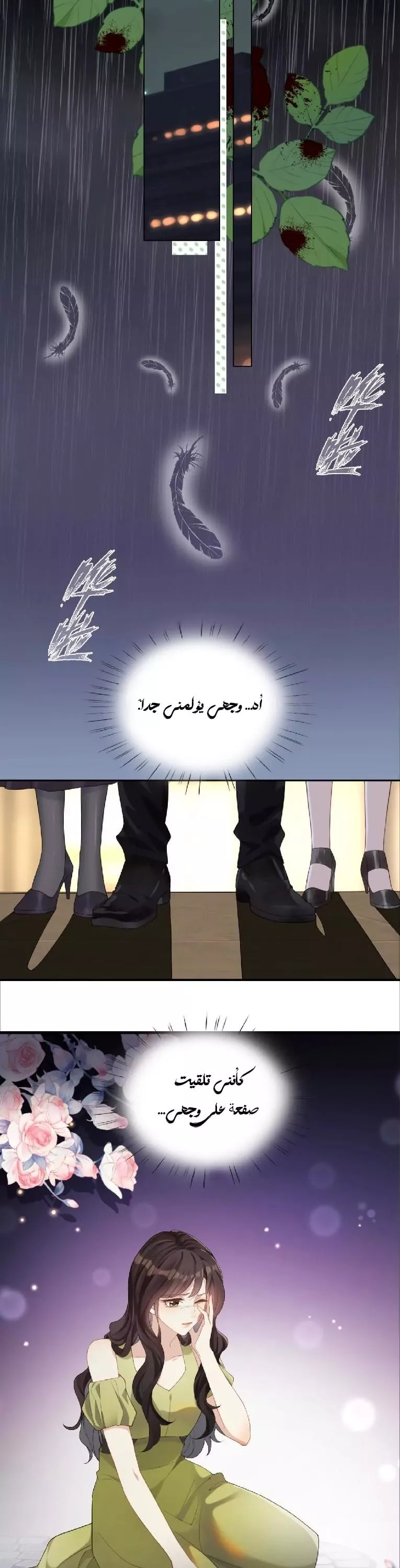 الصفحة 16