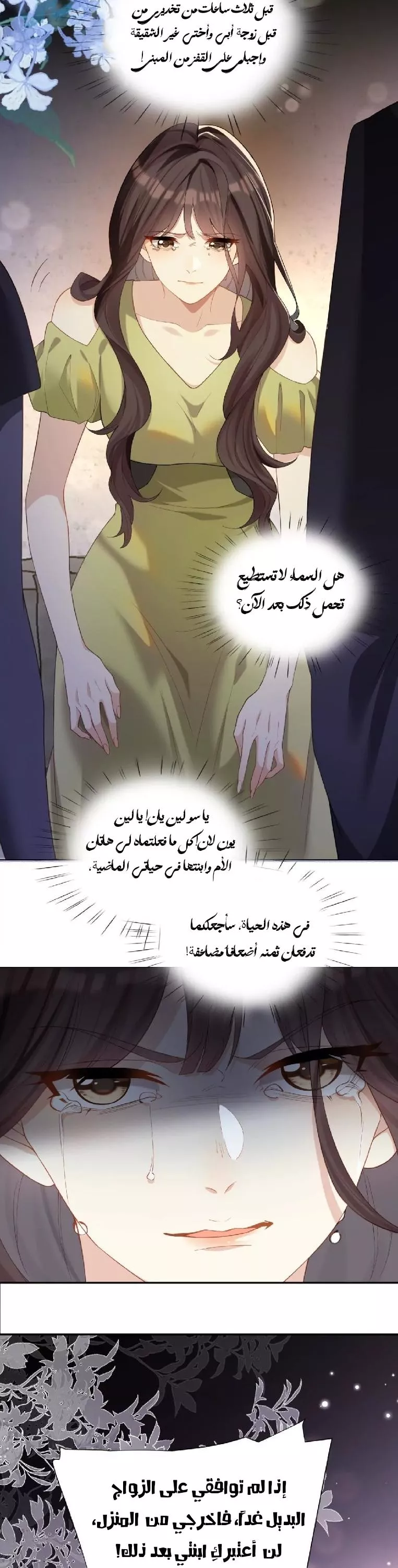 الصفحة 20