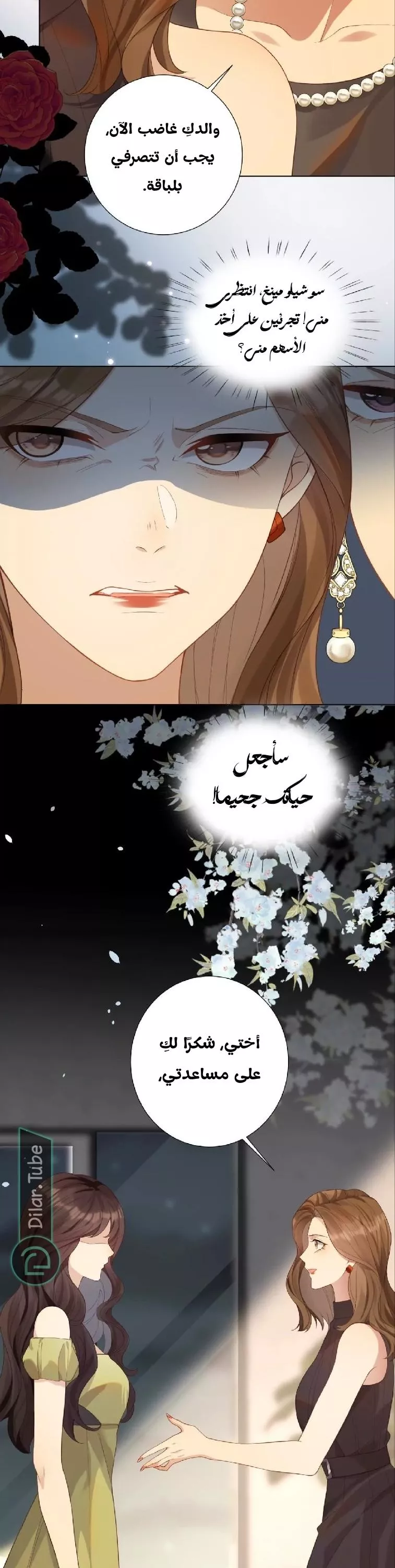 الصفحة 27