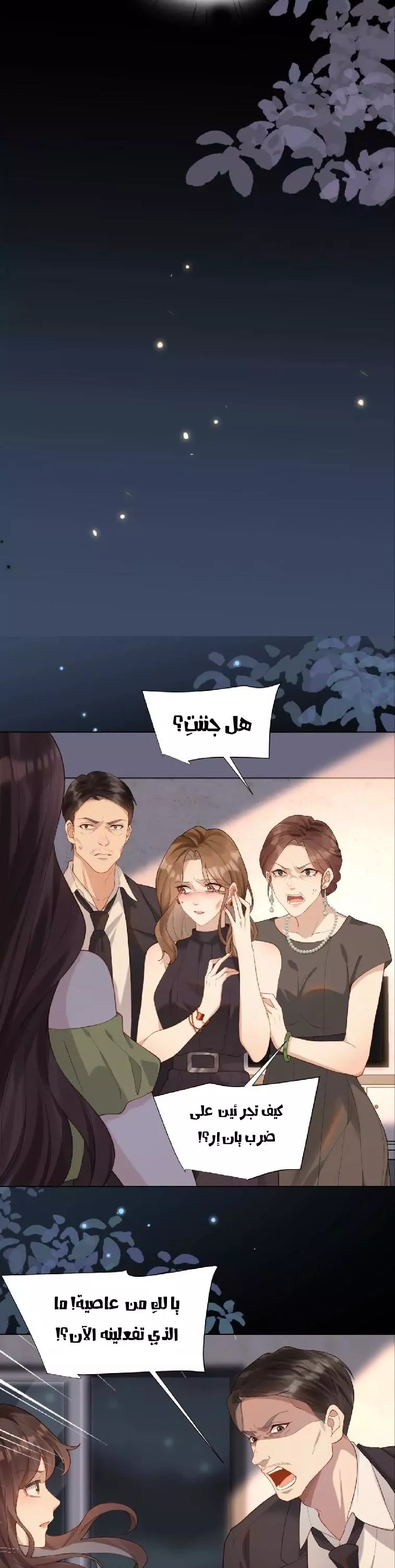 الصفحة 29
