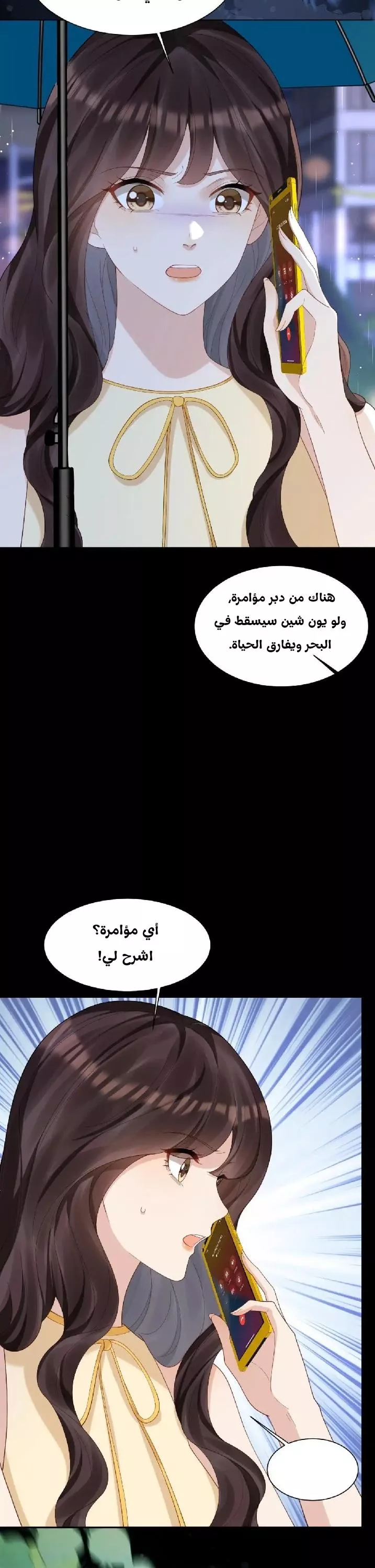 الصفحة 13