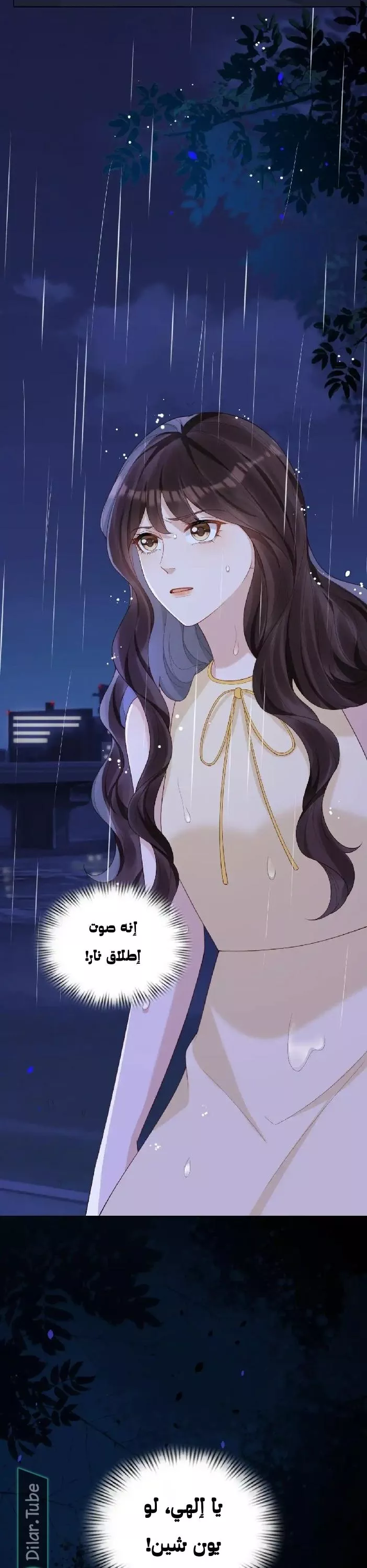 الصفحة 17