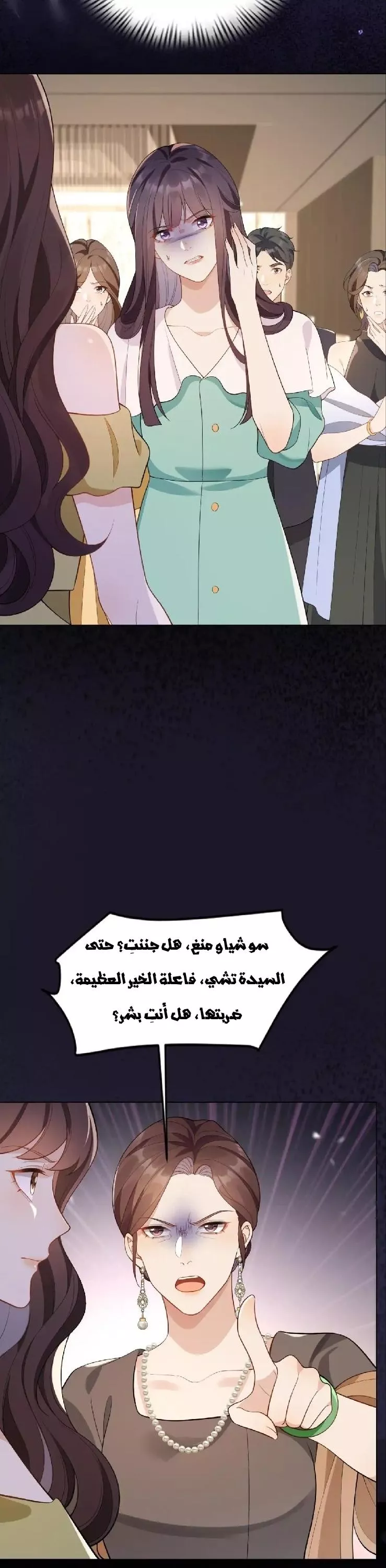 الصفحة 13