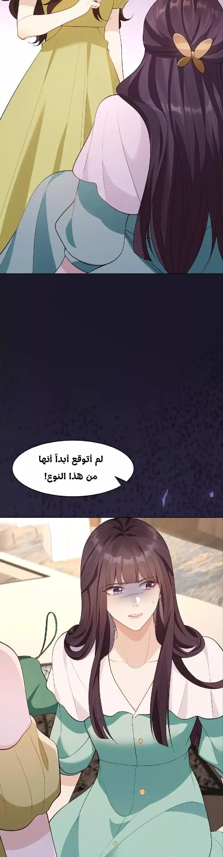 الصفحة 20