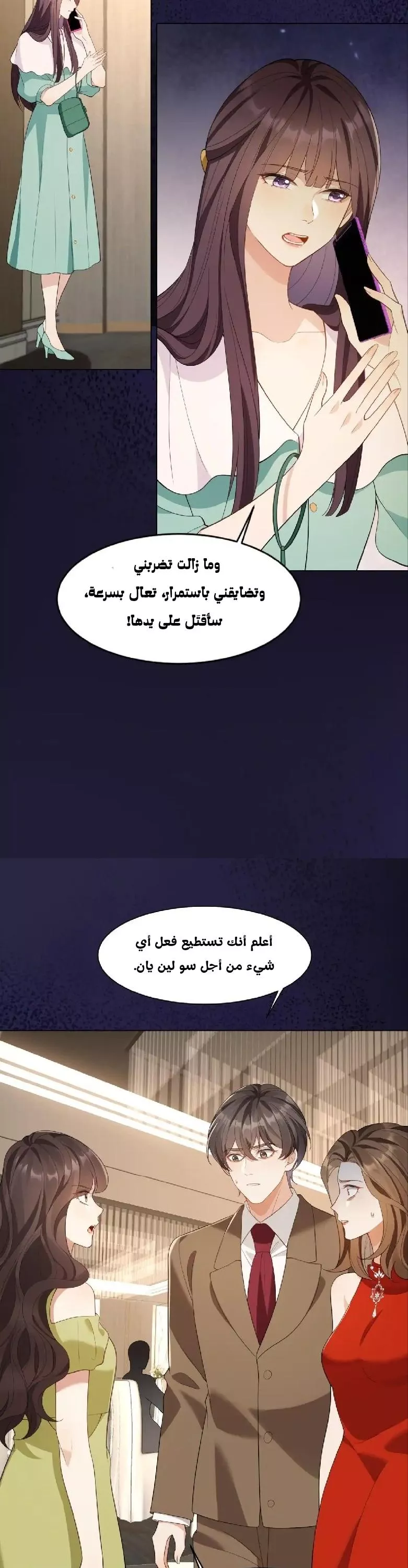 الصفحة 22