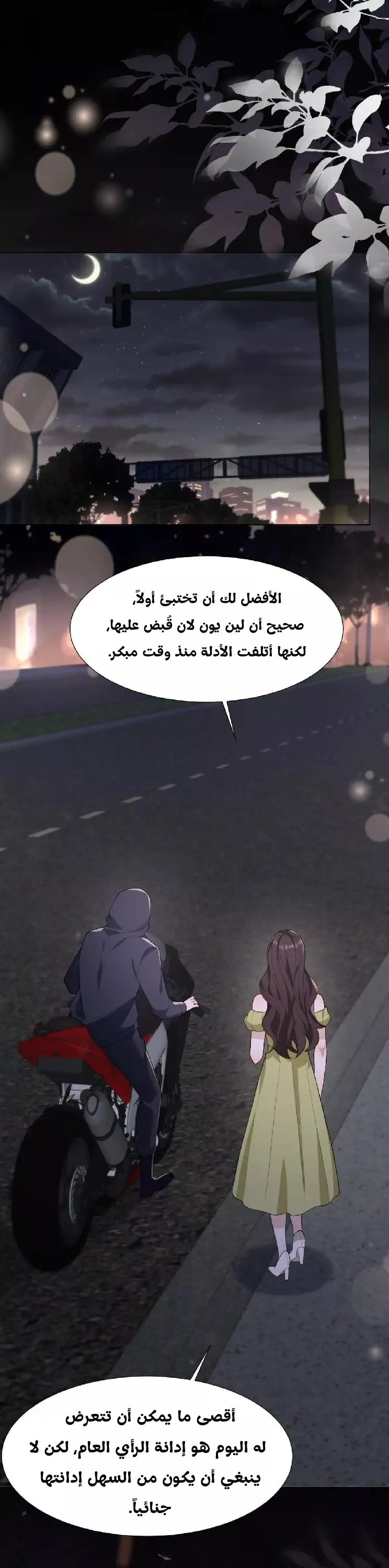 الصفحة 17