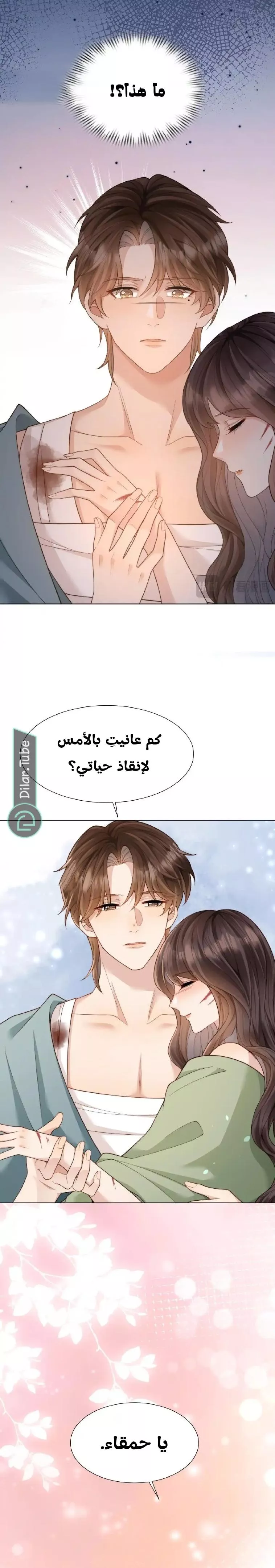 الصفحة 27