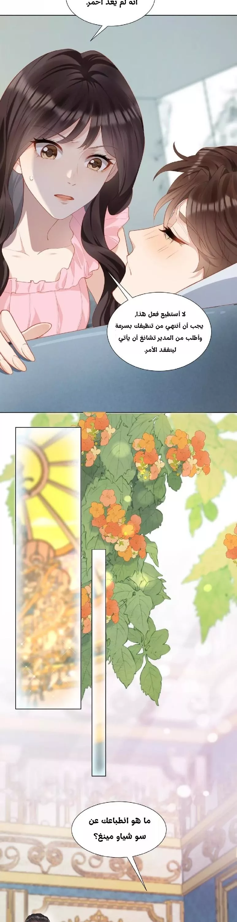 الصفحة 11