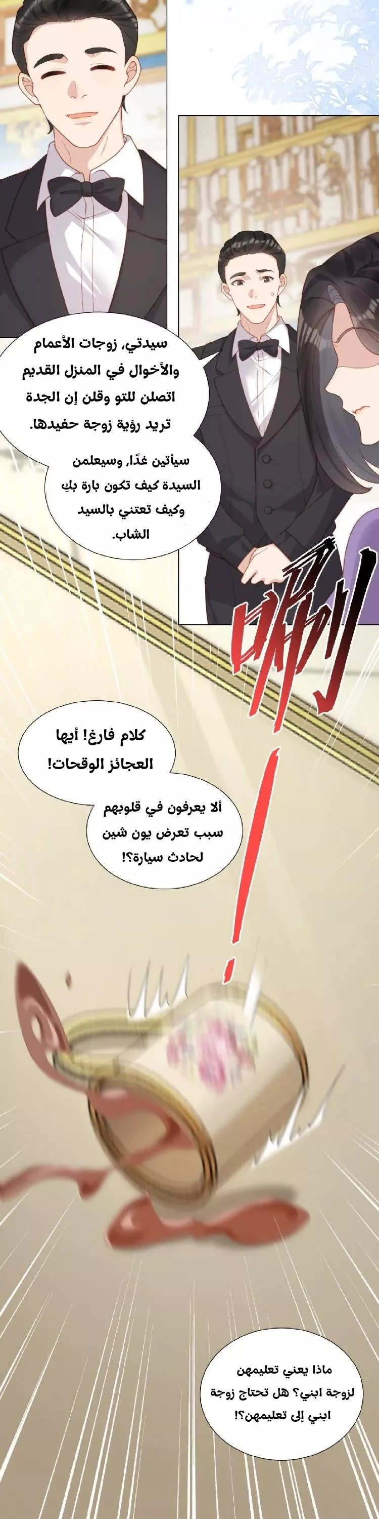 الصفحة 16