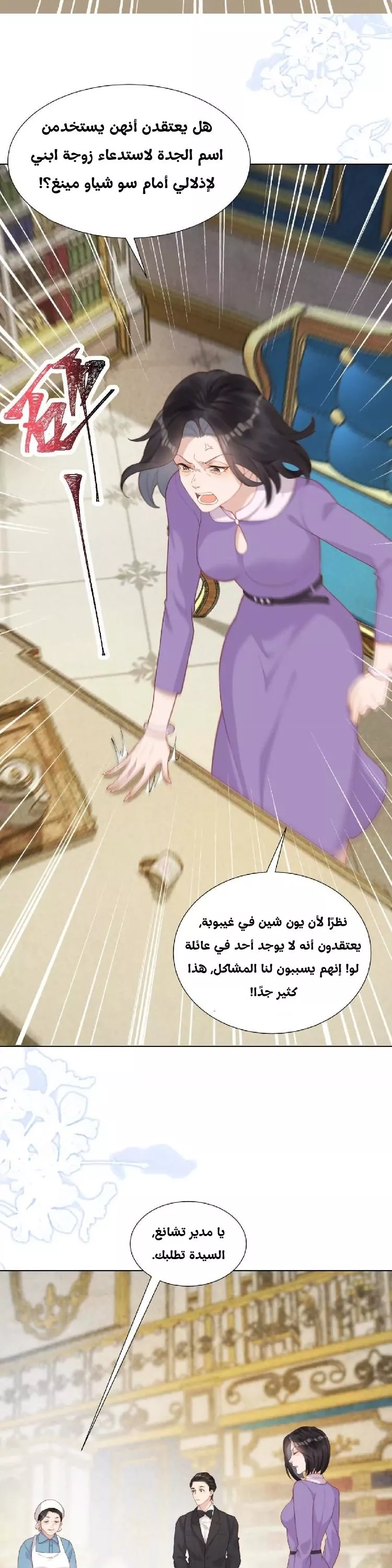الصفحة 17
