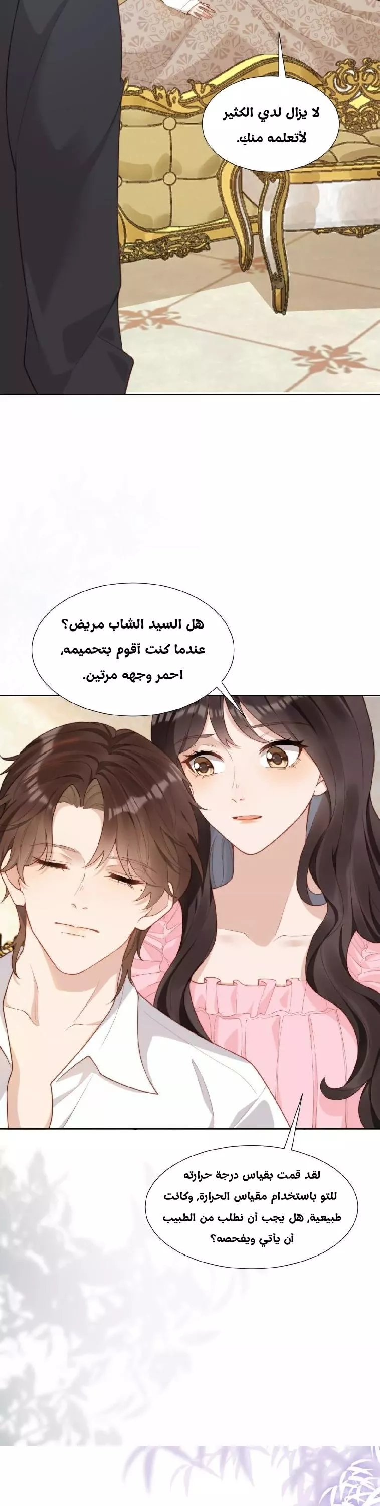 الصفحة 20