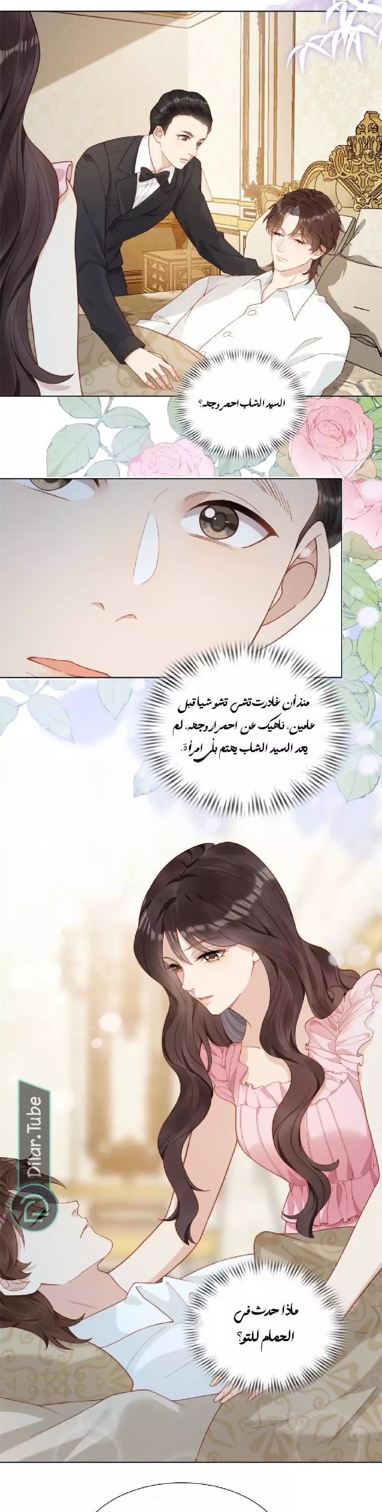 الصفحة 21