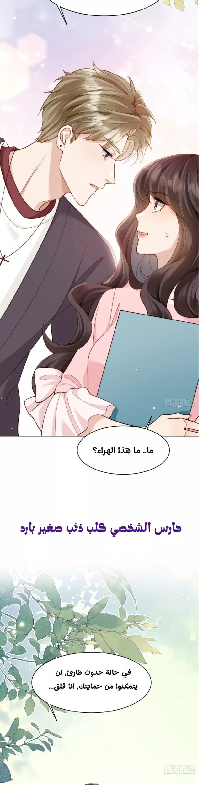 الصفحة 6