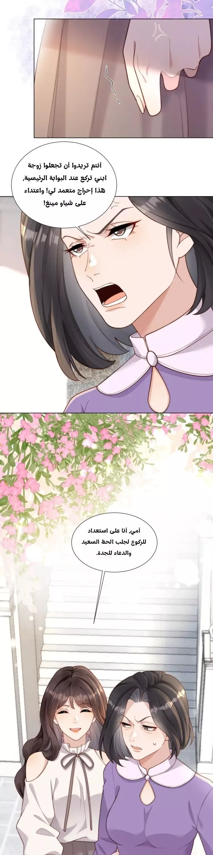 الصفحة 11