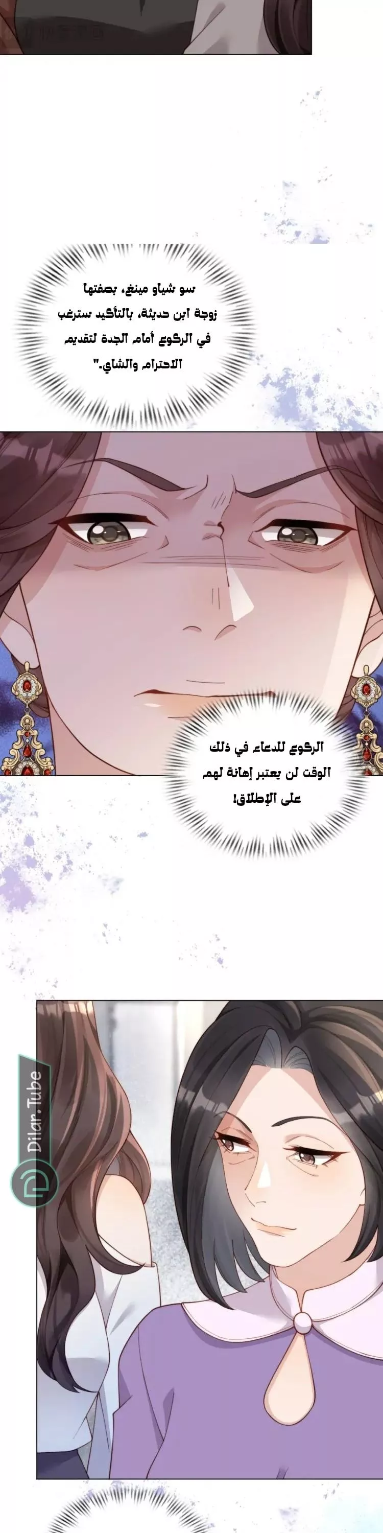 الصفحة 13