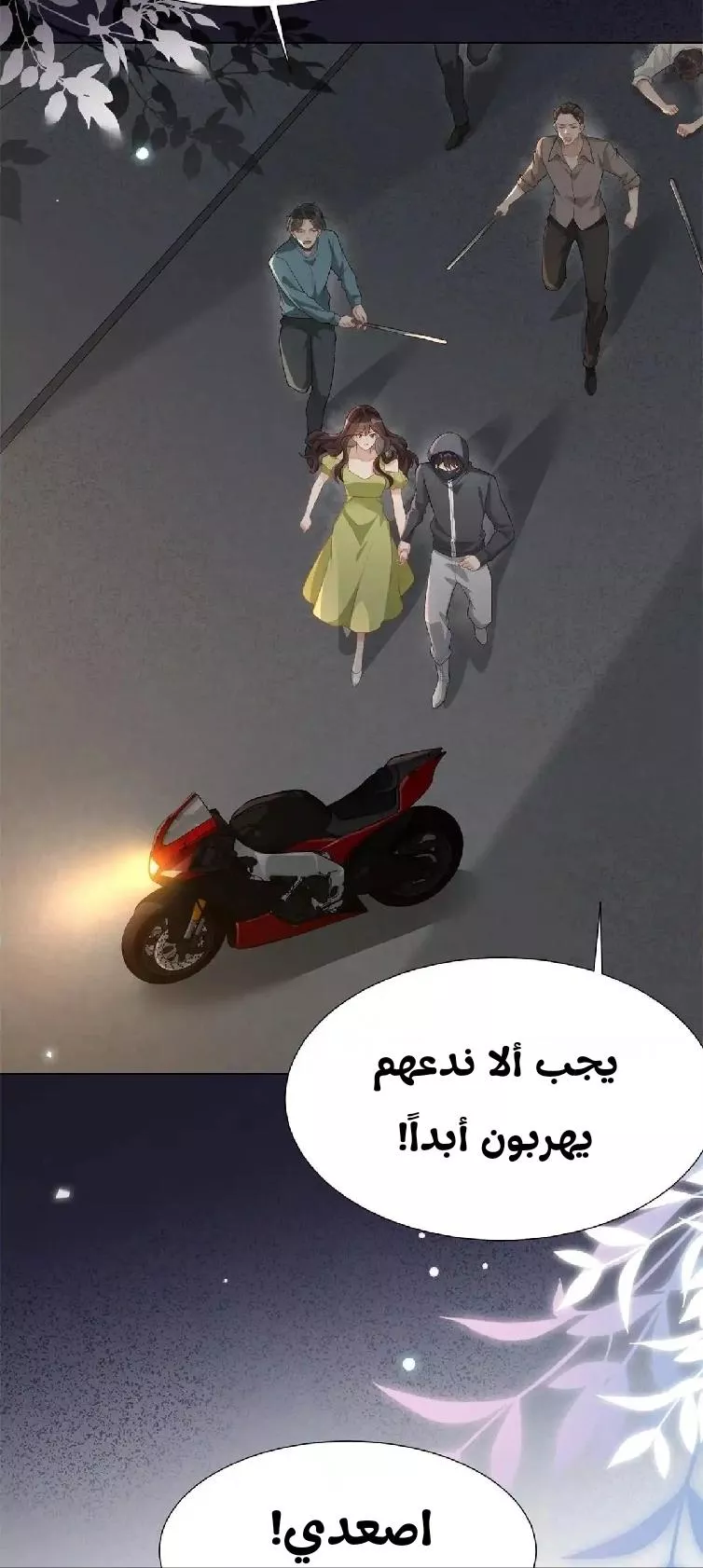 الصفحة 12