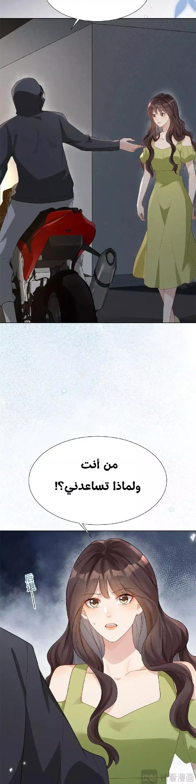 الصفحة 13