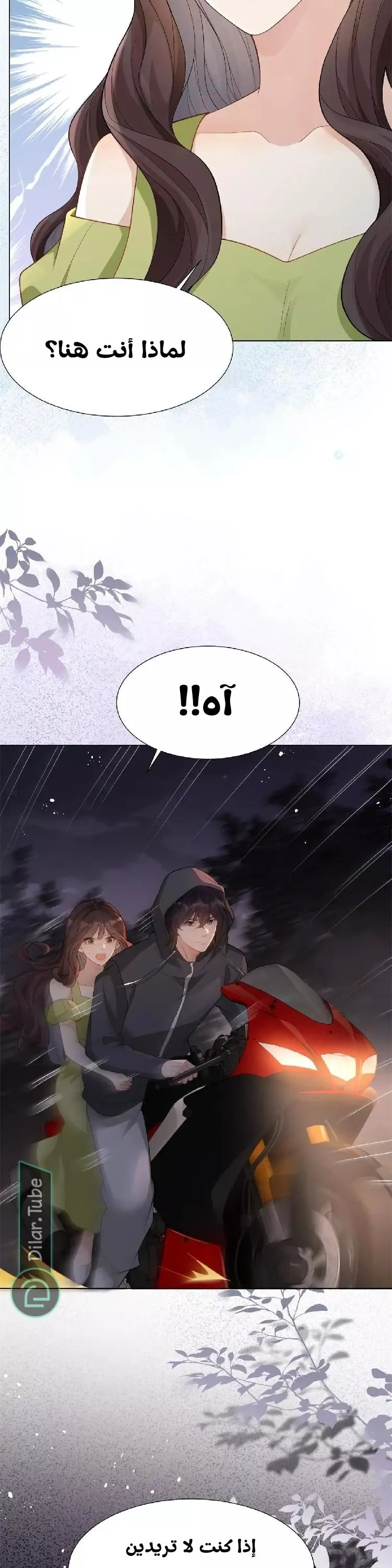 الصفحة 15