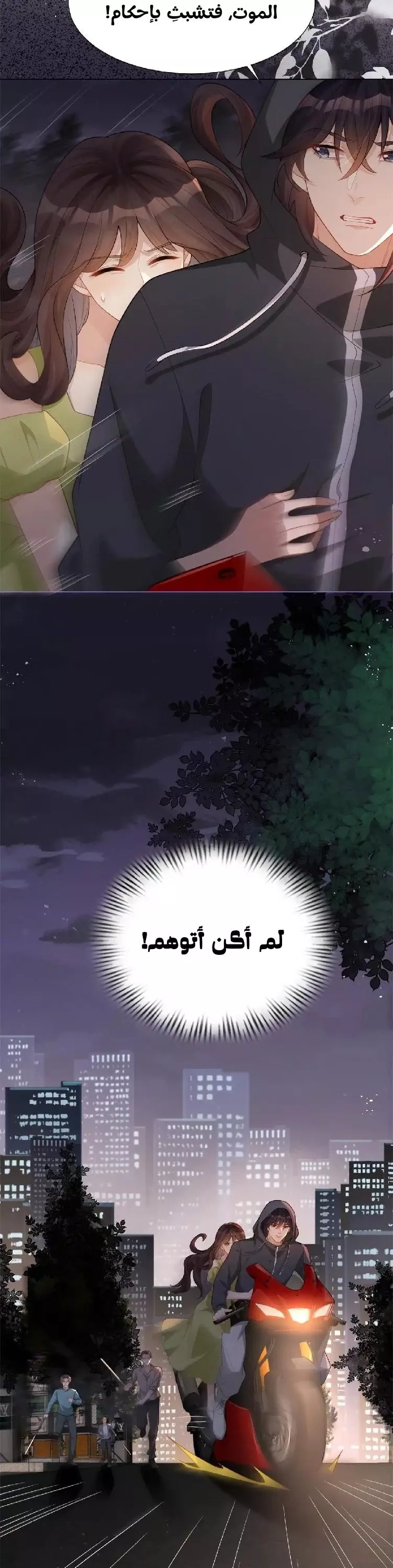 الصفحة 16