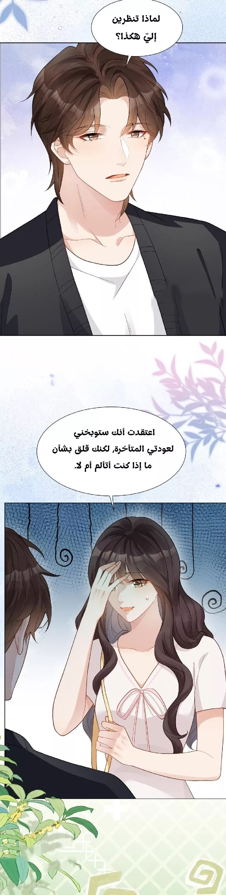 الصفحة 17