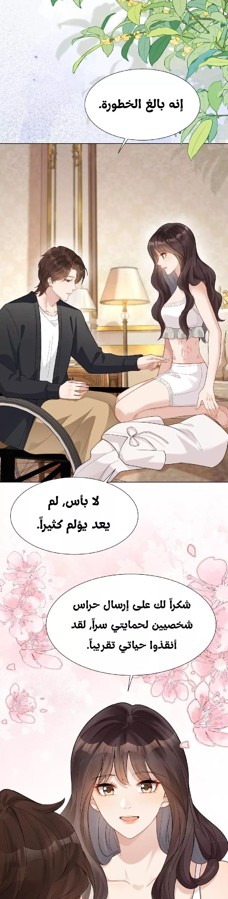 الصفحة 19