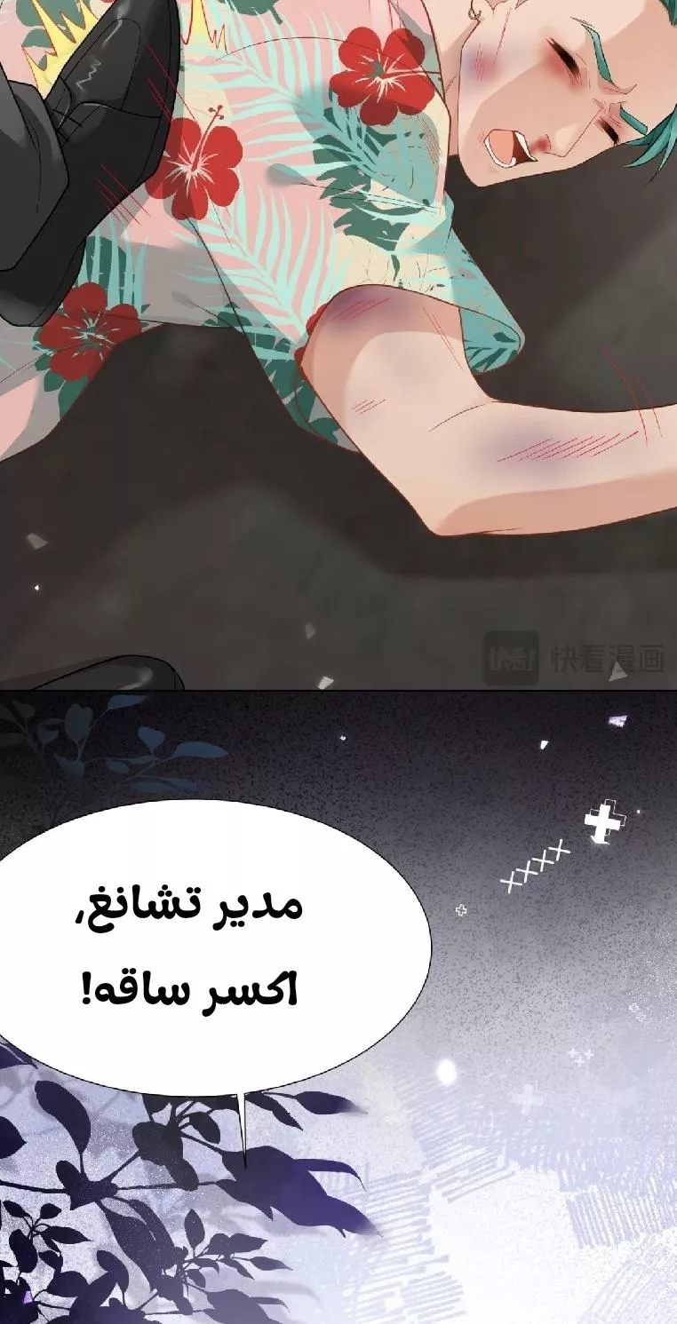 الصفحة 30