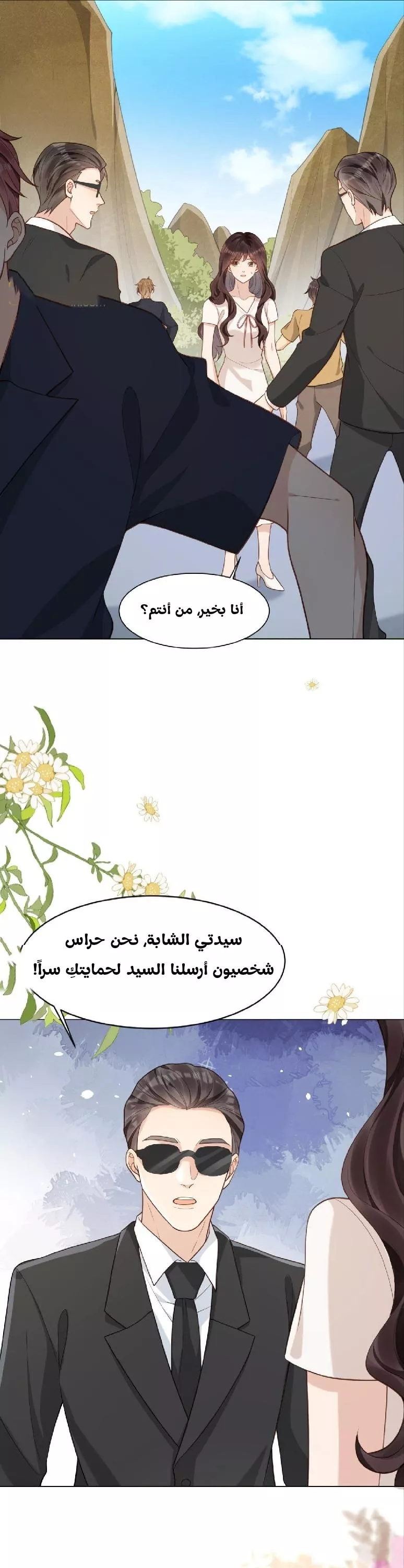الصفحة 13