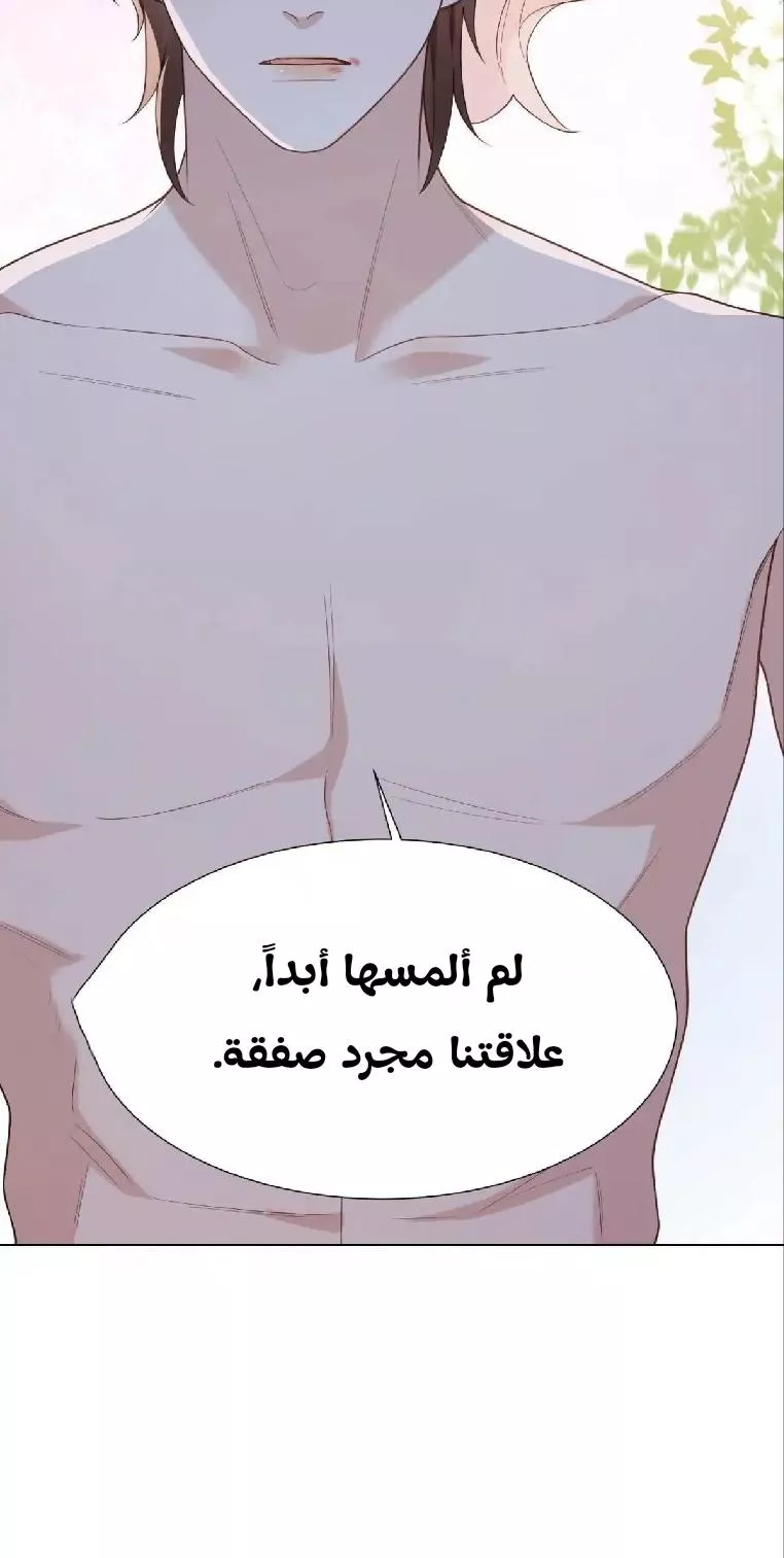 الصفحة 31