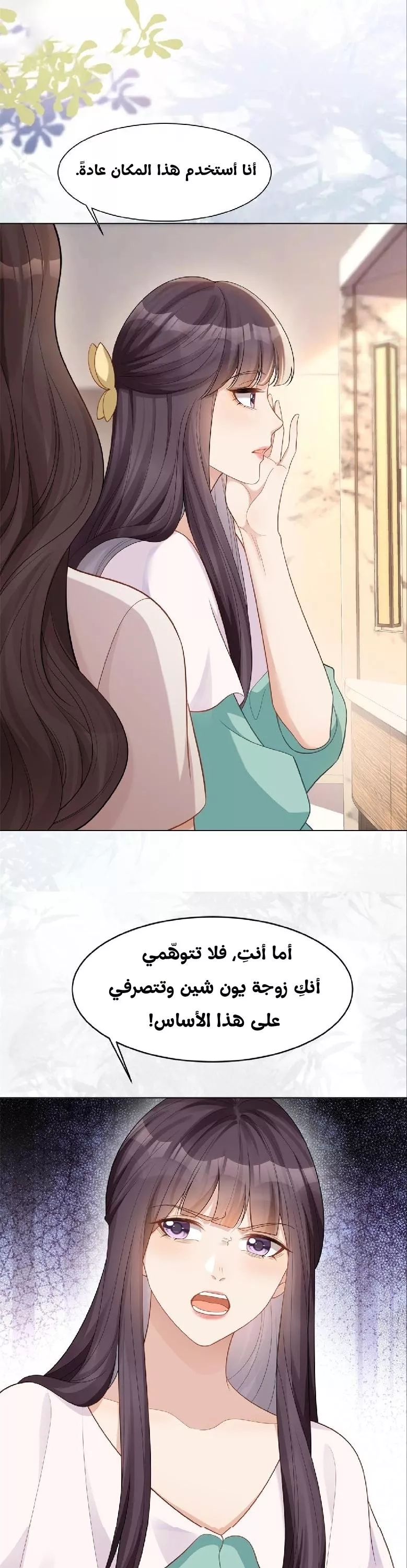 الصفحة 17