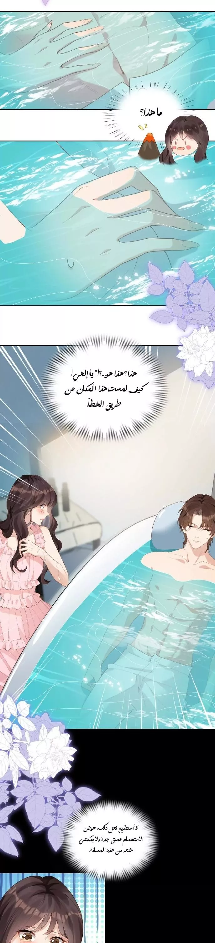 الصفحة 24
