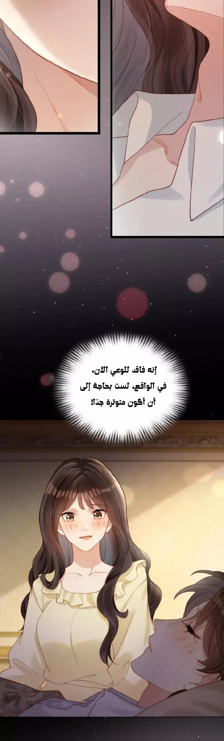 الصفحة 11
