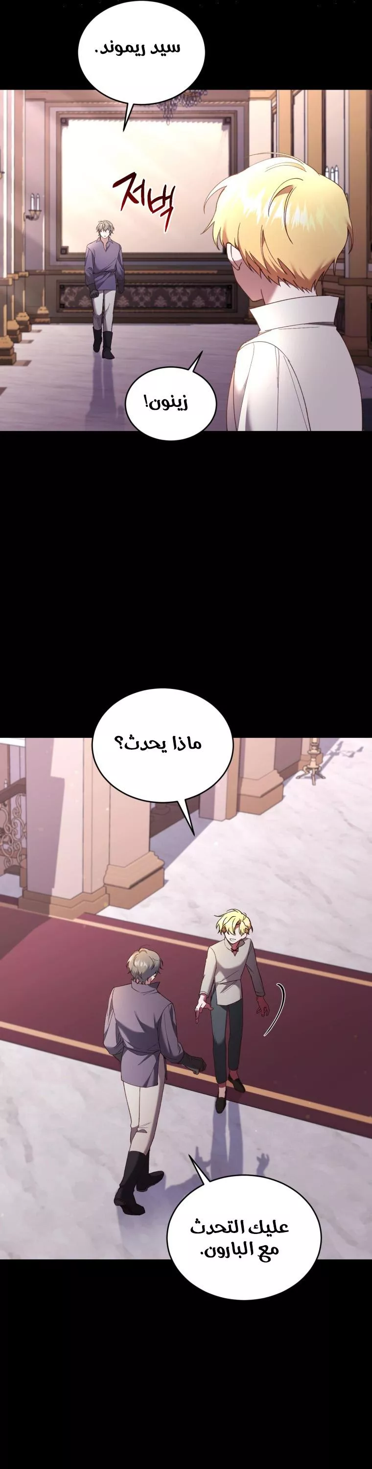 الصفحة 13